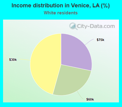 Income distribution in Venice, LA (%)