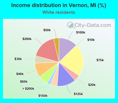 Income distribution in Vernon, MI (%)