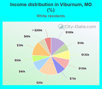 Income distribution in Viburnum, MO (%)