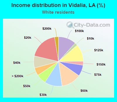 Income distribution in Vidalia, LA (%)