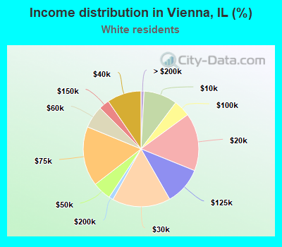 Income distribution in Vienna, IL (%)