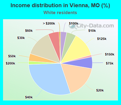Income distribution in Vienna, MO (%)