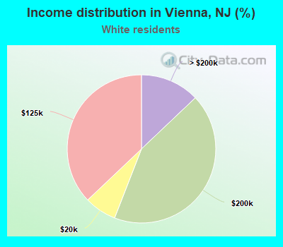 Income distribution in Vienna, NJ (%)