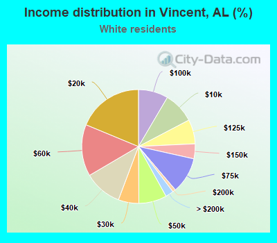 Income distribution in Vincent, AL (%)
