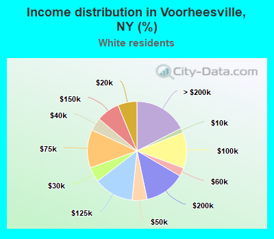 Income distribution in Voorheesville, NY (%)