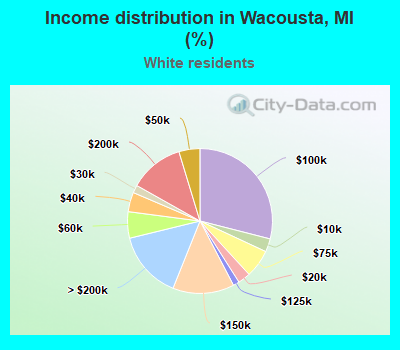 Income distribution in Wacousta, MI (%)
