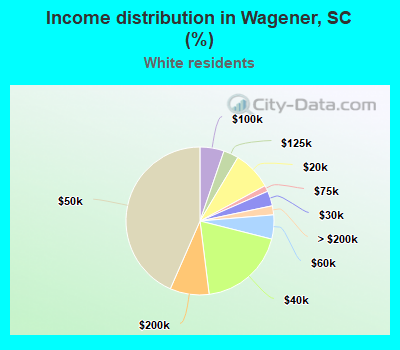 Income distribution in Wagener, SC (%)