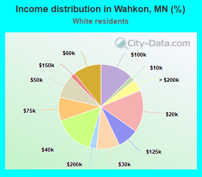Income distribution in Wahkon, MN (%)