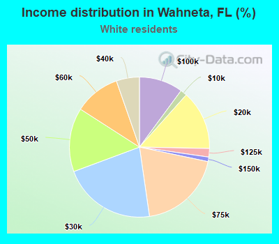Income distribution in Wahneta, FL (%)