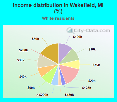 Income distribution in Wakefield, MI (%)