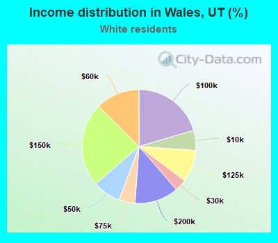 Income distribution in Wales, UT (%)