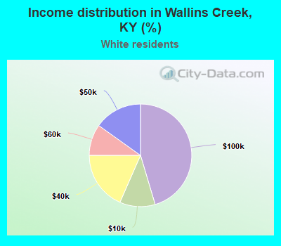 Income distribution in Wallins Creek, KY (%)
