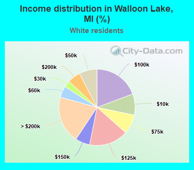 Income distribution in Walloon Lake, MI (%)