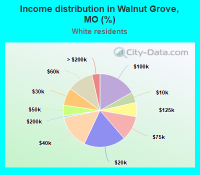 Income distribution in Walnut Grove, MO (%)
