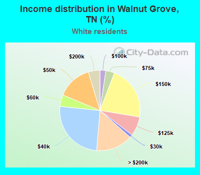 Income distribution in Walnut Grove, TN (%)