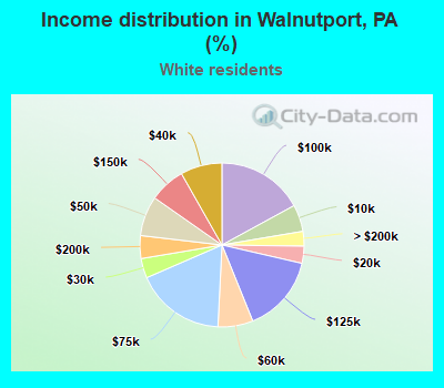 Income distribution in Walnutport, PA (%)