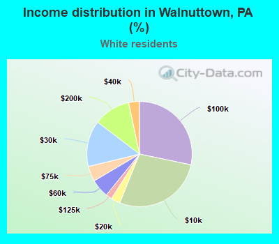 Income distribution in Walnuttown, PA (%)