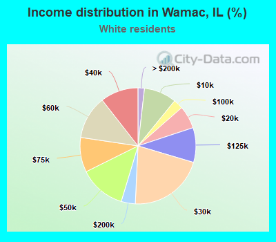 Income distribution in Wamac, IL (%)