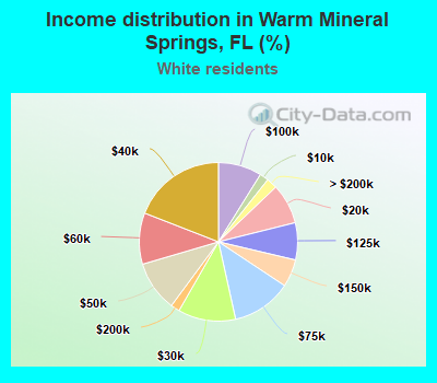 Income distribution in Warm Mineral Springs, FL (%)
