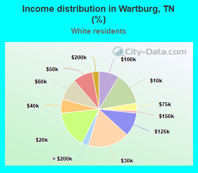 Income distribution in Wartburg, TN (%)