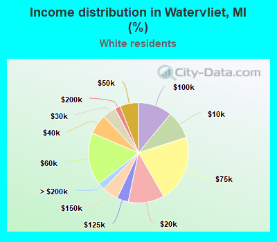 Income distribution in Watervliet, MI (%)