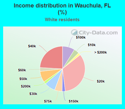 Income distribution in Wauchula, FL (%)