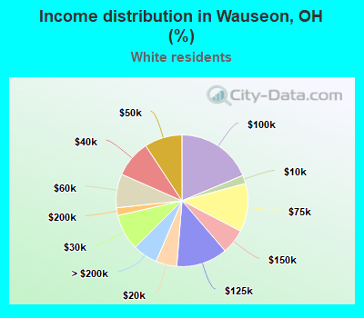 Income distribution in Wauseon, OH (%)