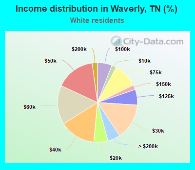 Income distribution in Waverly, TN (%)