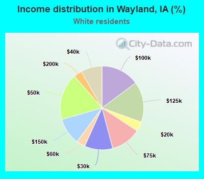 Income distribution in Wayland, IA (%)