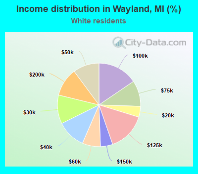 Income distribution in Wayland, MI (%)