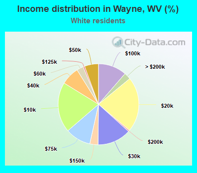 Income distribution in Wayne, WV (%)