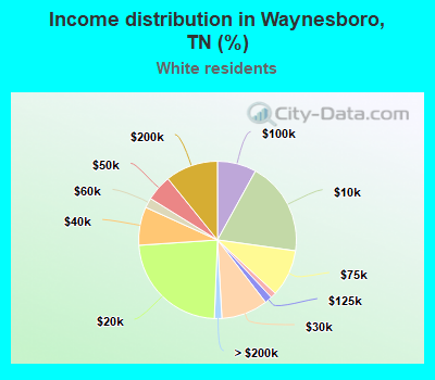 Income distribution in Waynesboro, TN (%)