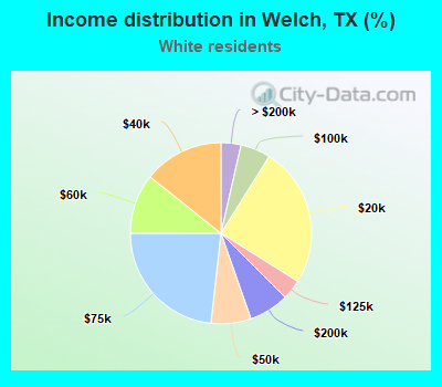 Income distribution in Welch, TX (%)