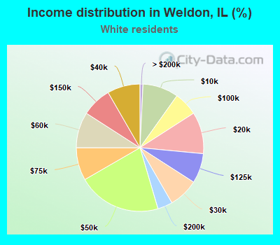 Income distribution in Weldon, IL (%)