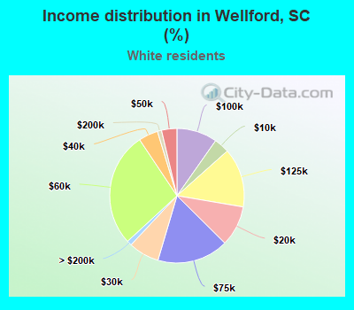 Income distribution in Wellford, SC (%)