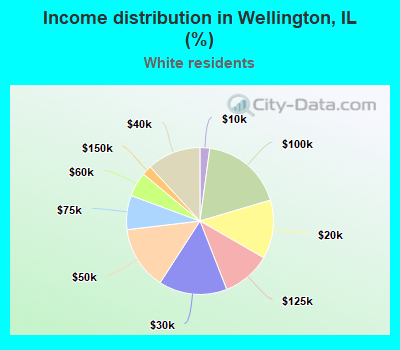 Income distribution in Wellington, IL (%)