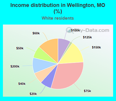 Income distribution in Wellington, MO (%)