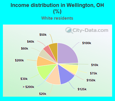 Income distribution in Wellington, OH (%)