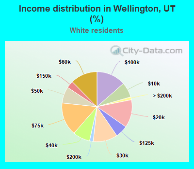 Income distribution in Wellington, UT (%)