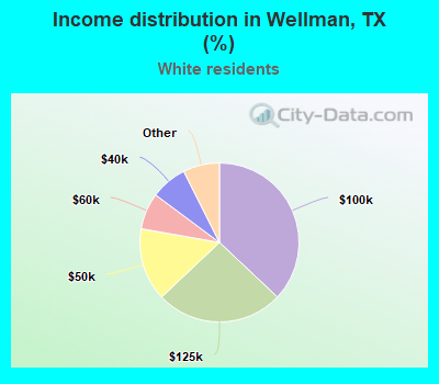 Income distribution in Wellman, TX (%)