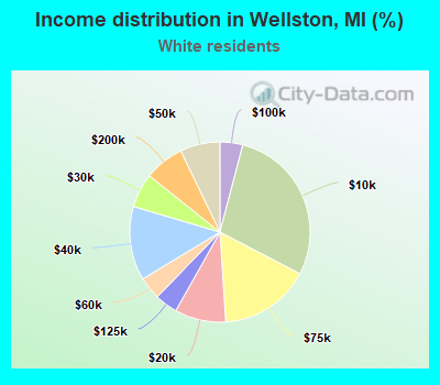 Income distribution in Wellston, MI (%)