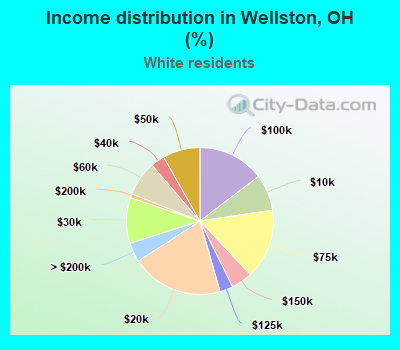 Income distribution in Wellston, OH (%)
