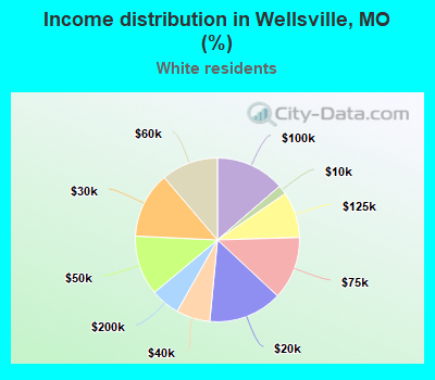 Income distribution in Wellsville, MO (%)