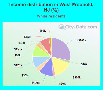 Income distribution in West Freehold, NJ (%)