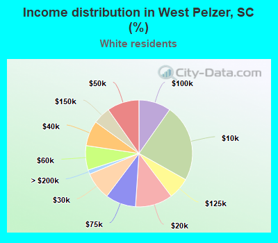 Income distribution in West Pelzer, SC (%)