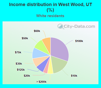 Income distribution in West Wood, UT (%)