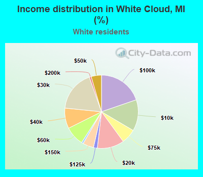 Income distribution in White Cloud, MI (%)
