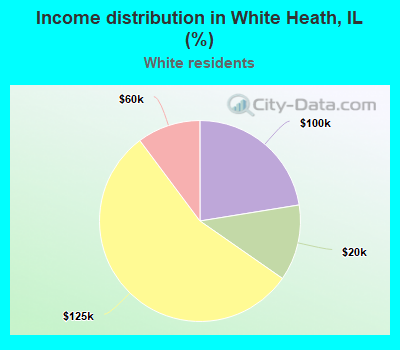 Income distribution in White Heath, IL (%)