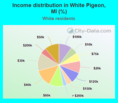 Income distribution in White Pigeon, MI (%)