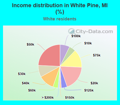 Income distribution in White Pine, MI (%)